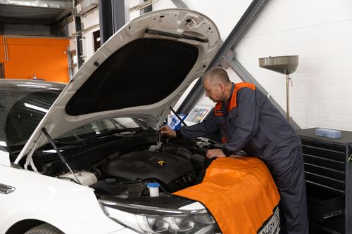 Фото пресс-службы FIT SERVICE